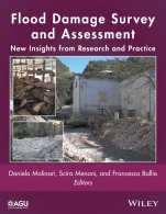 Flood Damage Survey and Assessment: New Insights from Research and Practice - ISBN 9781119217923
