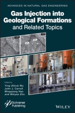 Gas Injection into Geological Formations and Related Topics - ISBN 9781119592068