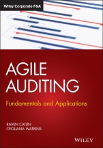 Agile Auditing: Fundamentals and Applications - ISBN 9781119693321