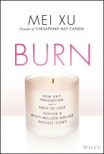 Burn: How Grit, Innovation, and a Dash of Luck Ignited a Multi–Million Dollar Success Story - ISBN 9781119695929
