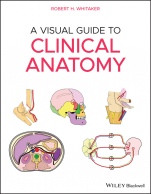 A Visual Guide to Clinical Anatomy - ISBN 9781119708100