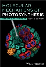Molecular Mechanisms of Photosynthesis - ISBN 9781405189767