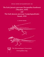 Early Jurassic pterosaur Dorygnathus banthensis (Theodori, 1830) and The Early Jurassic pterosaur Campylognathoides Strand, 1928 - ISBN 9781405192248
