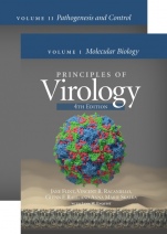 Principles of Virology: 2 Volume Set - ISBN 9781555819514