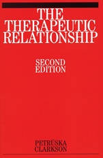 The Therapeutic Relationship - ISBN 9781861563811