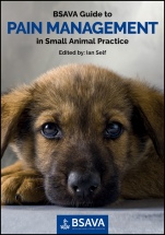BSAVA Guide to Pain Management in Small Animal Practice - ISBN 9781910443002