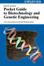 Pocket Guide to Biotechnology and Genetic Engineering - ISBN 9783527308958