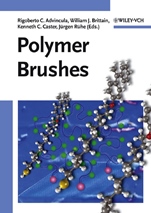 Polymer Brushes: Synthesis, Characterization and Applications - ISBN 9783527310333