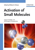 Activation of Small Molecules: Organometallic and Bioinorganic Perspectives - ISBN 9783527313129