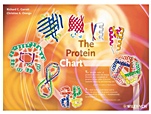 The Protein Chart - ISBN 9783527319633