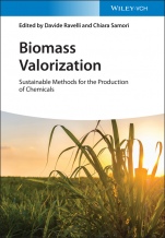 Biomass Valorization: Sustainable Methods for the Production of Chemicals - ISBN 9783527347179