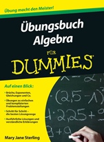Ubungsbuch Algebra fur Dummies - ISBN 9783527708000