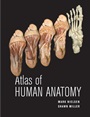Atlas of Human Anatomy - ISBN 9780470501450