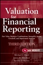 Valuation for Financial Reporting: Fair Value, Business Combinations, Intangible Assets, Goodwill, and Impairment Analysis - ISBN 9780470534892