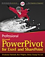 Professional Microsoft PowerPivot for Excel and SharePoint - ISBN 9780470587379