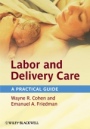 Labor and Delivery Care: A Practical Guide - ISBN 9780470654590