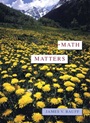 Math Matters - ISBN 9780471304524