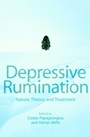 Depressive Rumination: Nature, Theory and Treatment - ISBN 9780471486923