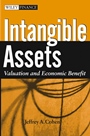 Intangible Assets: Valuation and Economic Benefit - ISBN 9780471671312