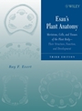 Esaus Plant Anatomy: Meristems, Cells, and Tissues of the Plant Body: Their Structure, Function, and Development - ISBN 9780471738435