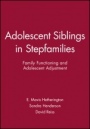 Adolescent Siblings in Stepfamilies: Family Functioning and Adolescent Adjustment - ISBN 9780631221555