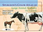 Spurgeons Color Atlas of Large Animal Anatomy: The Essentials - ISBN 9780683306736