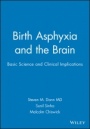 Birth Asphyxia and the Brain: Basic Science and Clinical Implications - ISBN 9780879934996