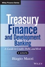Treasury Finance and Development Banking: A Guide to Credit, Debt, and Risk + Website - ISBN 9781118729120