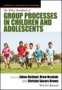 The Wiley Handbook of Group Processes in Children and Adolescents - ISBN 9781118773161