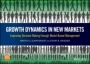 Growth Dynamics in New Markets: Improving Decision Making through Model–Based Management - ISBN 9781119118237