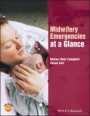 Midwifery Emergencies at a Glance - ISBN 9781119138013