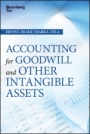 Accounting for Goodwill and Other Intangible Assets - ISBN 9781119157151