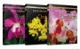 Micropropagation of Orchids: 3 Volume Set - ISBN 9781119187059