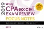 Wiley CPAexcel Exam Review 2019 Focus Notes: Business Environment and Concepts - ISBN 9781119519065