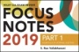 Wiley CIA Exam Review 2019 Focus Notes, Part 1: Essentials of Internal Auditing (Wiley CIA Exam Review Series) - ISBN 9781119524526