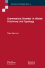 Grammatical Number in Welsh: Diachrony and Typology - ISBN 9781119615262