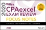Wiley CPAexcel Exam Review 2020 Focus Notes: Business Environment and Concepts - ISBN 9781119632313
