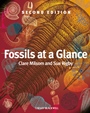 Fossils at a Glance - ISBN 9781405193368