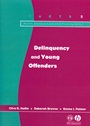 Delinquency and Young Offenders - ISBN 9781854333575