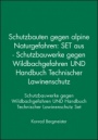 Schutzbauten gegen alpine Naturgefahren: SET aus – Schutzbauwerke gegen Wildbachgefahren UND Handbuch Technischer Lawinenschutz - ISBN 9783433030929