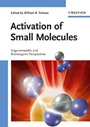 Activation of Small Molecules: Organometallic and Bioinorganic Perspectives - ISBN 9783527313129