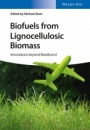 Biofuels from Lignocellulosic Biomass: Innovations beyond Bioethanol - ISBN 9783527338139