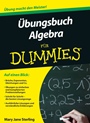 Ubungsbuch Algebra fur Dummies - ISBN 9783527708000